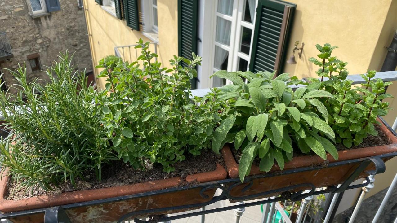 Il Mulino Di Hotel Villa Aurora Nesso Exteriér fotografie