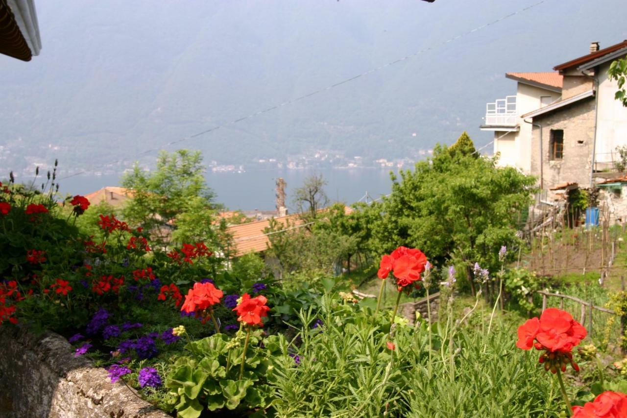 Il Mulino Di Hotel Villa Aurora Nesso Exteriér fotografie