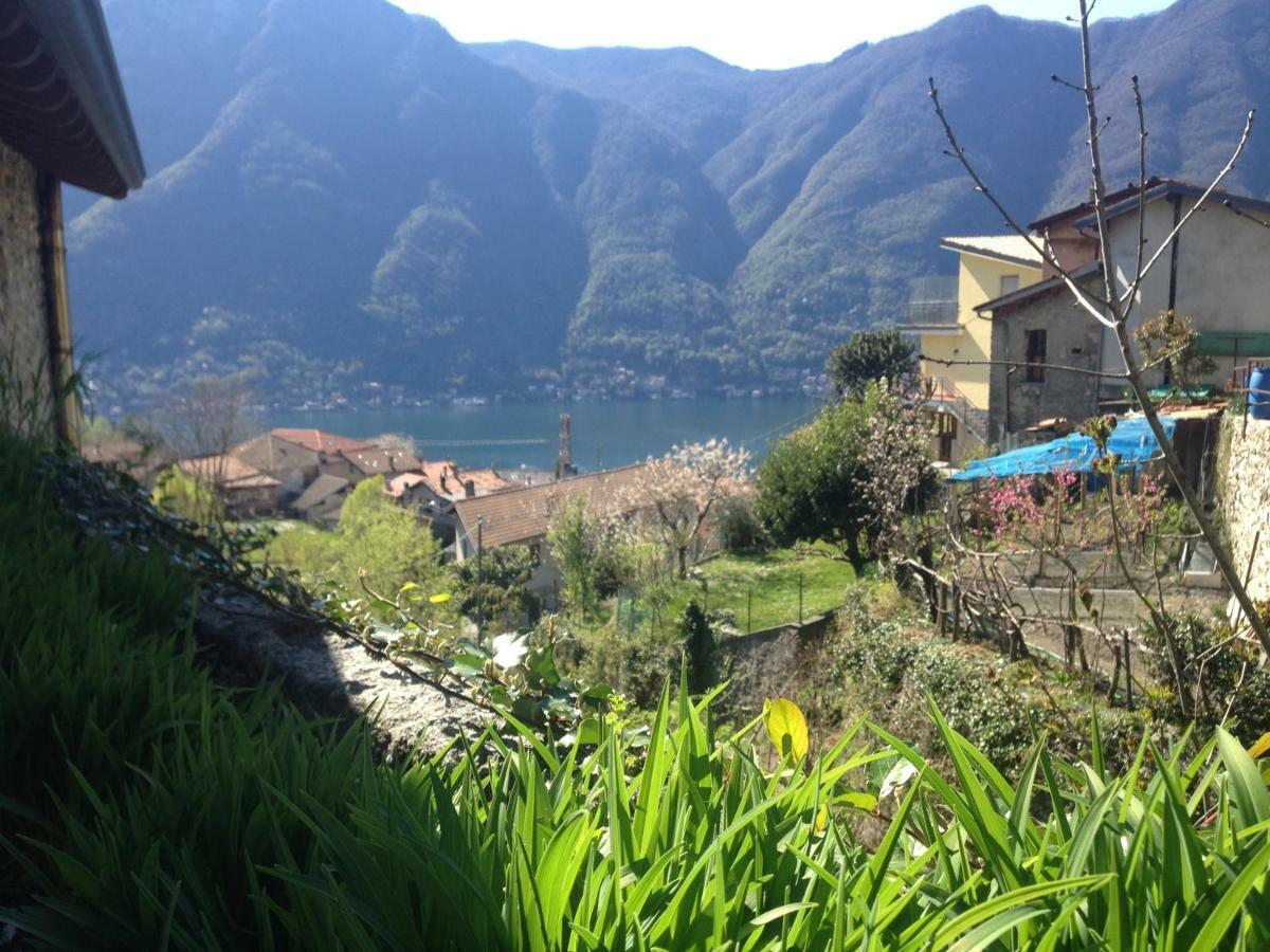 Il Mulino Di Hotel Villa Aurora Nesso Exteriér fotografie